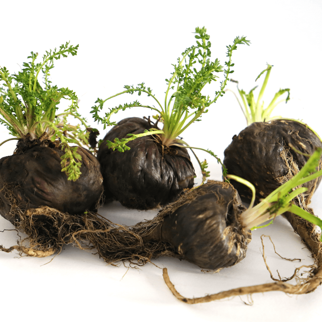 Raiz de Maca Peruana